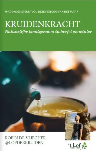 Puissance des herbes : alliés naturels en automne et hiver