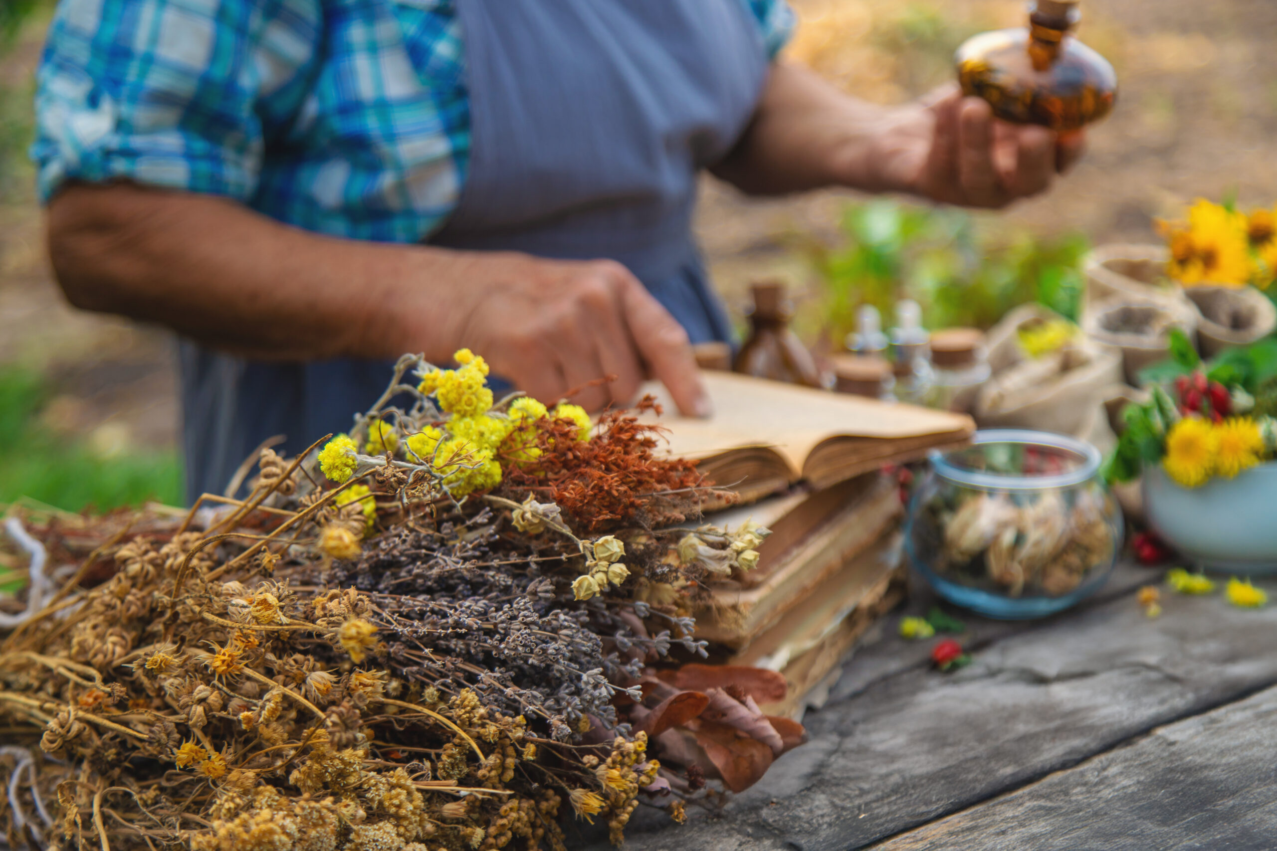 Sources en ligne fiables sur les plantes médicinales