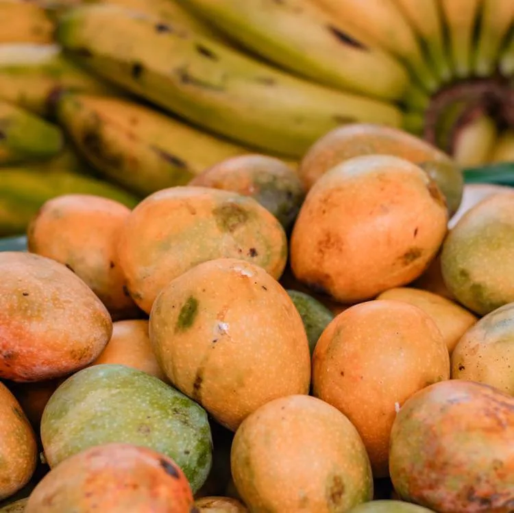 Bol de smoothie avec poudre de germe de blé biologique
