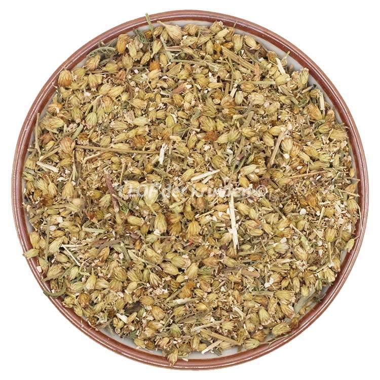 Achillée millefeuille bio