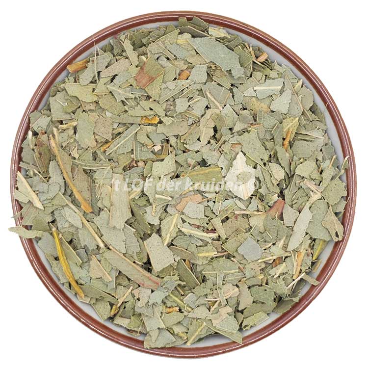 Eucalyptus bio