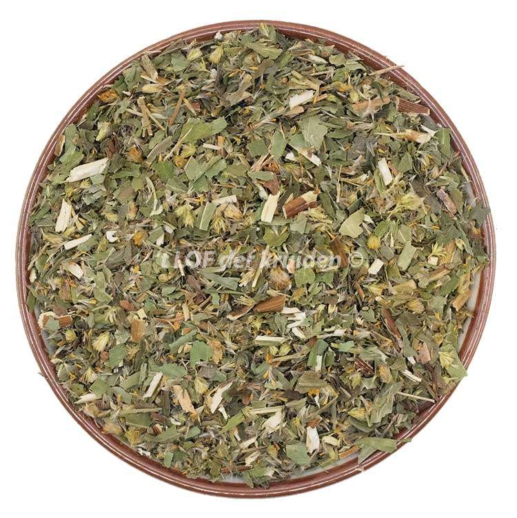Solidago