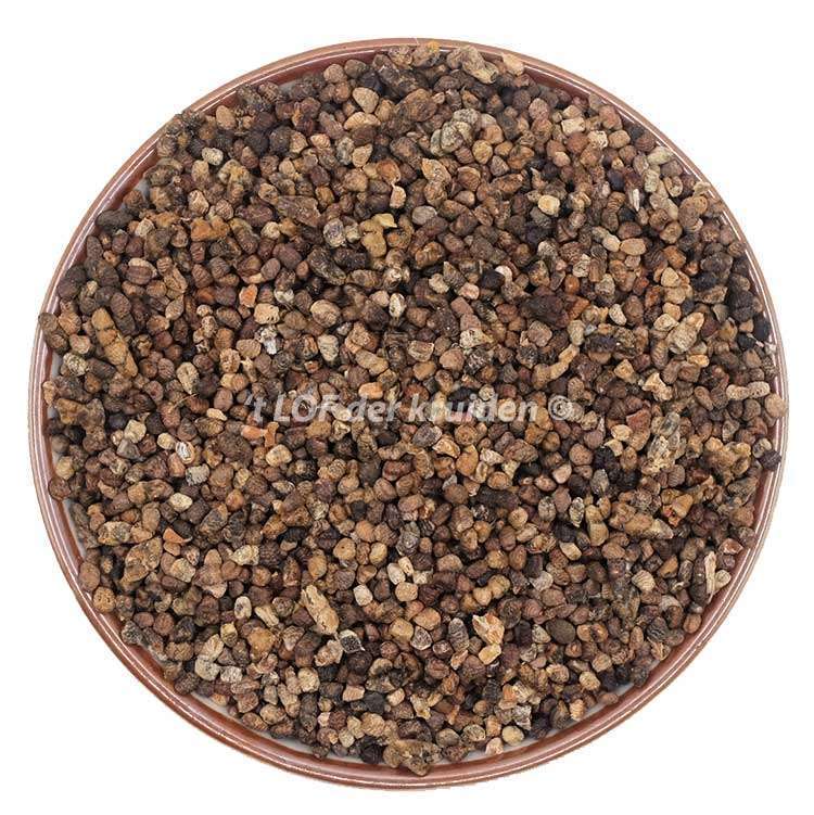 Graines de cardamome