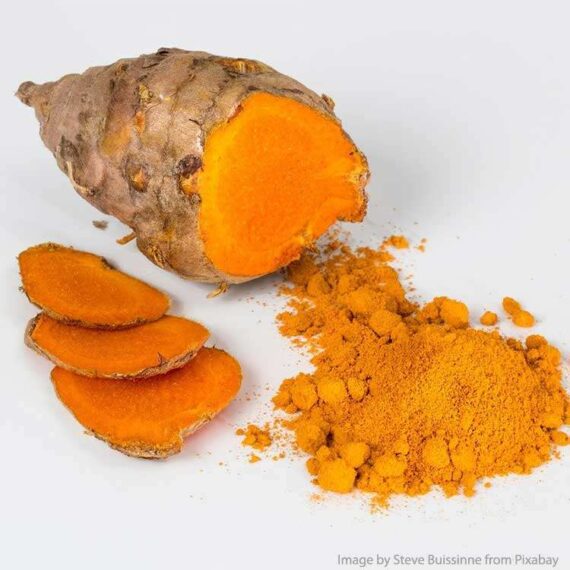 Curcuma-Safran-des-Indes