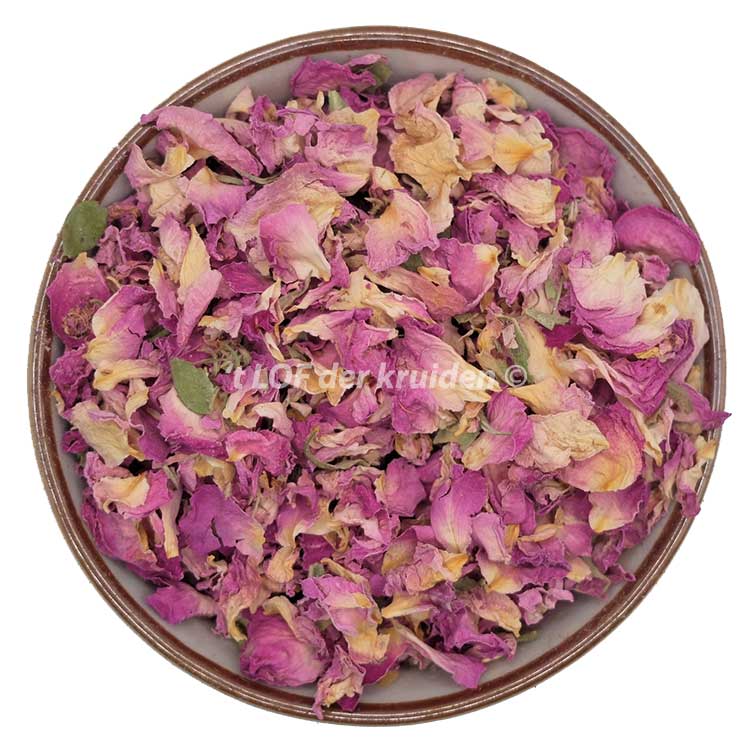Pétales de rose