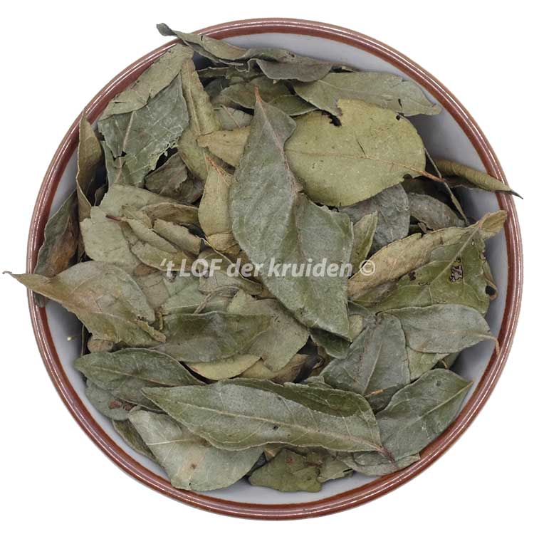 Feuille de curry bio