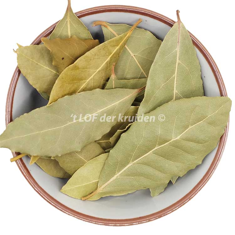 Feuilles de laurier-bio