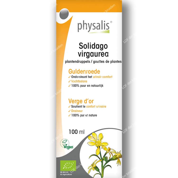 Teinture de solidago