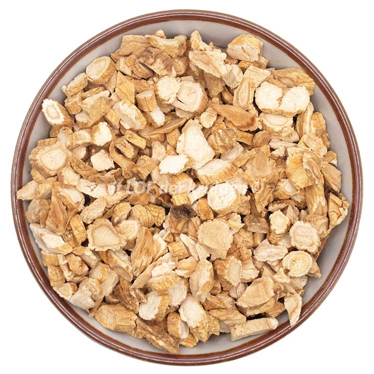 Ginseng-Panax-bio
