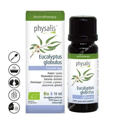 Physalis-Eucalyptus-globulus-huile éthérique