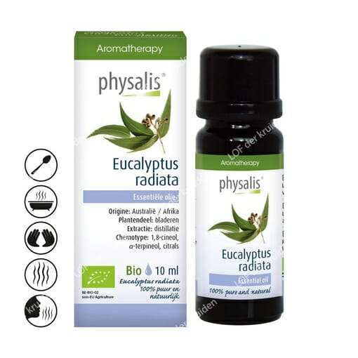 Physalis eucalyptus-radiata-huile essentiëlle