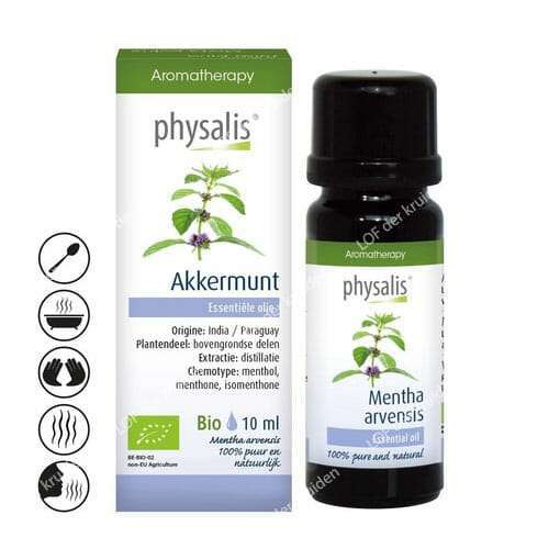 Huile éthérique de Physalis-menthe des champs