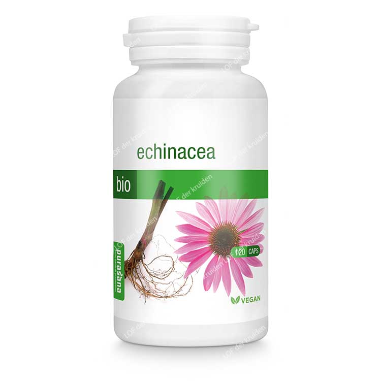 Capsules d'échinacée purasana