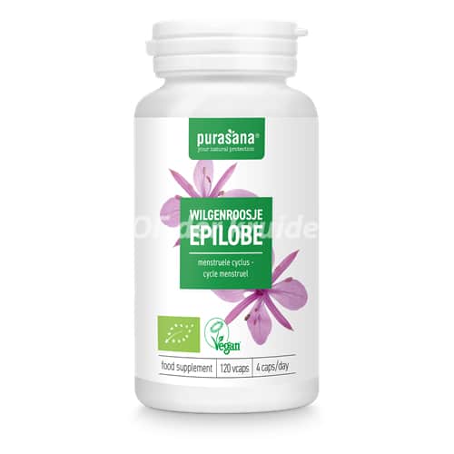 Épilobe-capsules-purasana1